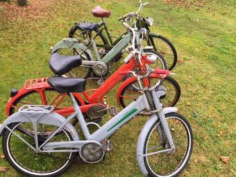 Motokola Mosquito - 3