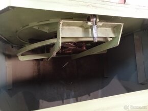 drtic kladivový - 3