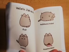 Knížka Bambilion životů košišty Pusheen - 3