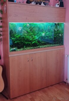 Akvárium 300l s příslušenstvím - 3