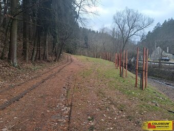 Letovice, lesní pozemky, 12 020 m² – pozemek - 3