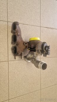 Turba na repas, různé druhy - 3