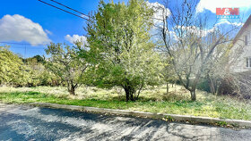 Prodej pozemku k bydlení, 4277 m², Budislav - 3