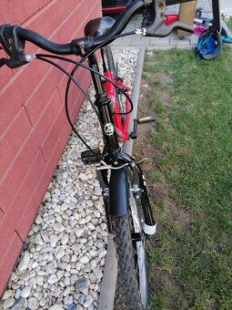 Dětské kolo 20'' červené - 3