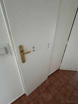 Daruji dveře za odvoz Praha 8 - 3