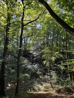 Prodej lesního pozemku v k.ú. Bartovice (2) - 3