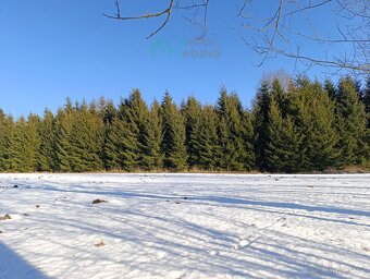 Prodej, pozemek 1.000 m², Křižánky - 3