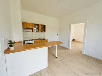 Dlouhodobý pronájem prostorného 1+1, 65 m2, zahrádka, cihla - 3