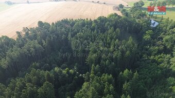 Prodej lesa, 5139 m², Tábor - 3