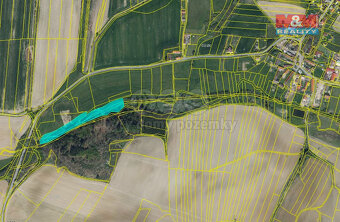 Prodej lesa, louky a vodní plochy, 8352 m², Sedliště - 3