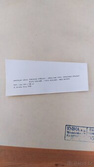 Jaroslav Grus Červené střechy - 3