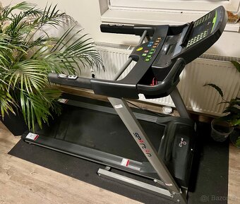 Běžecký pás Spartan Creative - 3