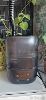 Terarium pro chov chameleona - 3