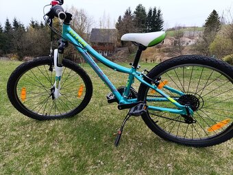 Kellys Kitter 50 24" - 3