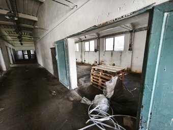 Pronájem skladu nebo výrobny Židlochovice • 233 m² - 3