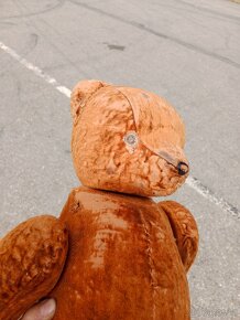 Starý bručící medvěd - 3