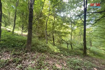 Prodej zahrady, 2923 m², Šarovy - 3