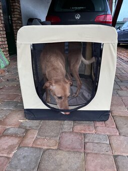 přepravní box pro psy/kotec - 3