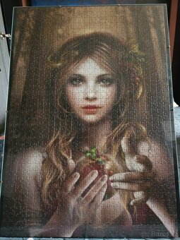 Obraz z puzzlí - 3