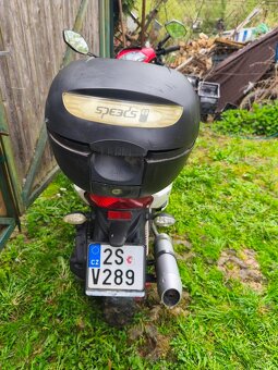 Kentoya Fever 125 - 3