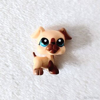 LPS Littlest Pet Shop - Boxer #1516 s doplňkem - 3