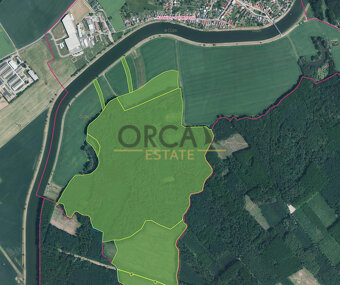 prodej singulárních lesů, příslušná výměra 58 008 m2 - 3