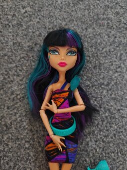 Panenky Monster high 4 - 3
