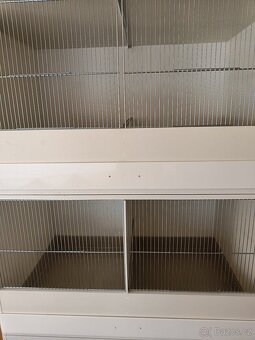 Bednove klece - 3