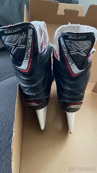 Brusle BAUER VAPOR X400 - 3
