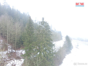 Prodej, les, 89634 m2, Řetová - 3