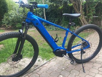 PELLS Thorr First ER - 3