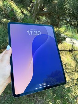 Ipad Pro 13 M4 256gb Cellular - 3