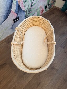 Mojžíšův koš - 3