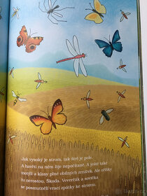 Kolik pater má strom - NOVÁ - 3