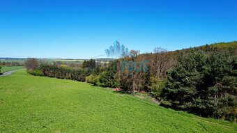 Prodej lesa, 80.000m2, Krámy - 3