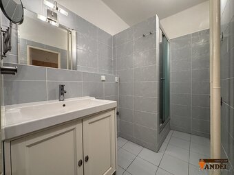 Pronájem bytu 2+1, Havířov Město, ul. Dělnická - 3