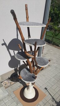 Kocici strom - škrabadlo pro kocky - 3