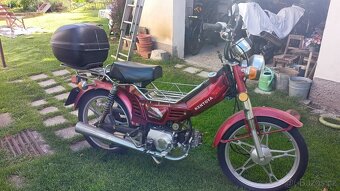 Kentoya Twin cup 50 - 3