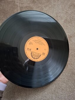 LP VINYL Rodinná show - 3
