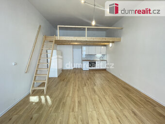 Pronájem bytu 1+kk 45 m2 P5 Smíchov po rekonstrukci loft cih - 3