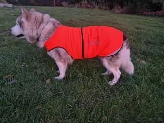 Oblečky pro psy - 3