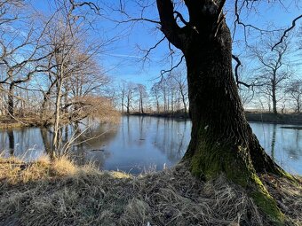 Rybnik Jeseniky Tomíkovice - 3