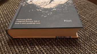 Petra Klabouchová - Ignis Fatuus - 3