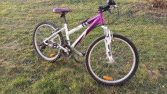 Dívčí kolo Zn. Arcore Violette 14" - 3