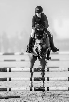 Sportovní pony parkur/drezura - 3