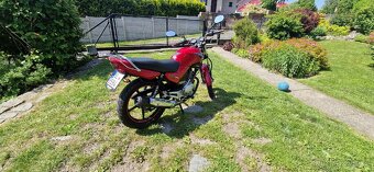 YAMAHA YBR 125 - 3