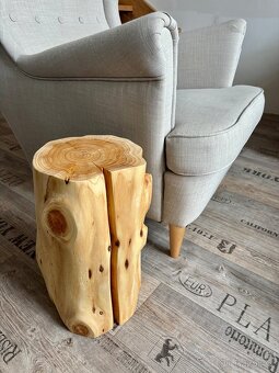 Špalek (túje) 18-22 cm / 40 cm - 3