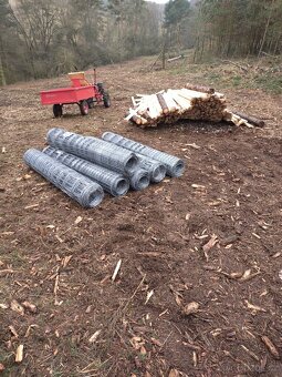 Stavba lesních oplocenek - 3