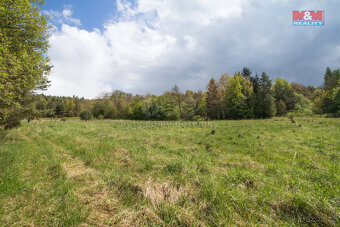 Prodej louky, 3586 m², Velenov - 3