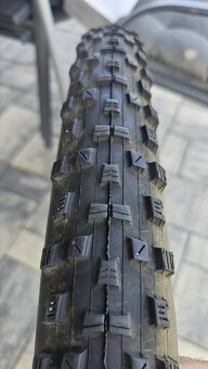 Plast 29x2.35 maxxis forecast - 3